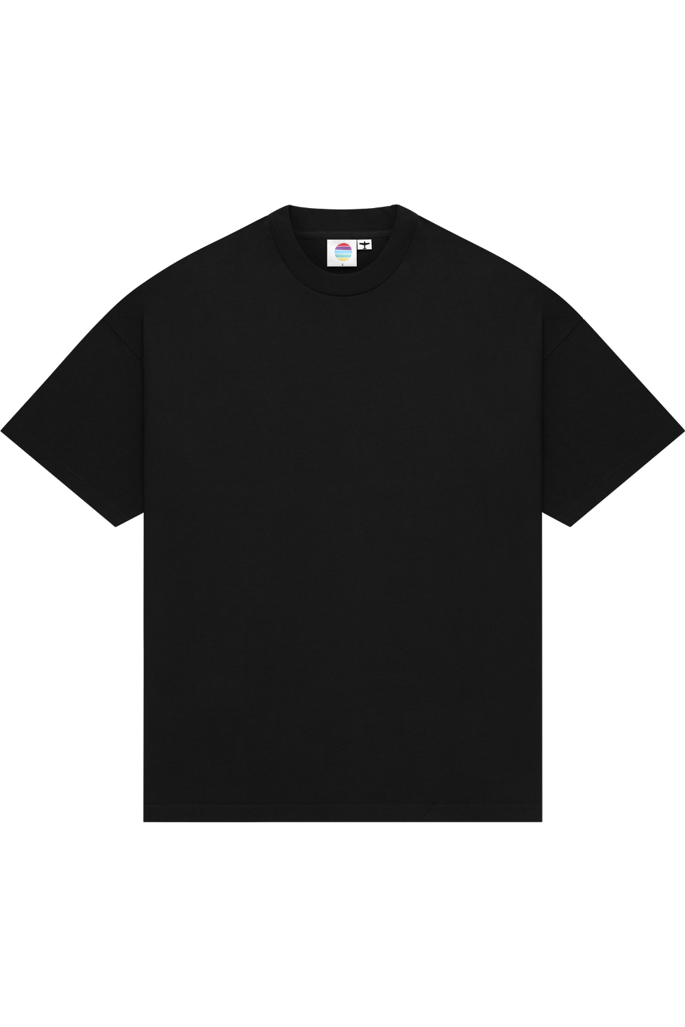 Colour Plane Heavyweight T-shirt